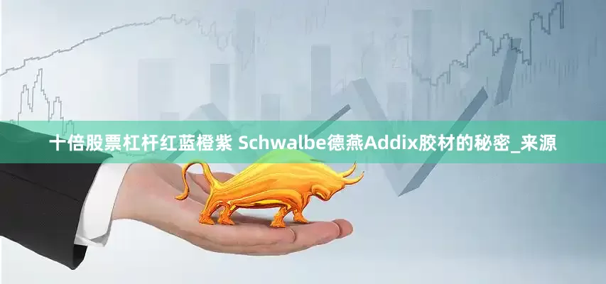 十倍股票杠杆红蓝橙紫 Schwalbe德燕Addix胶材的秘密_来源