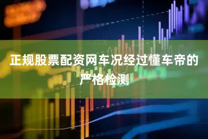 正规股票配资网车况经过懂车帝的严格检测