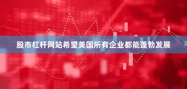 股市杠杆网站希望美国所有企业都能蓬勃发展