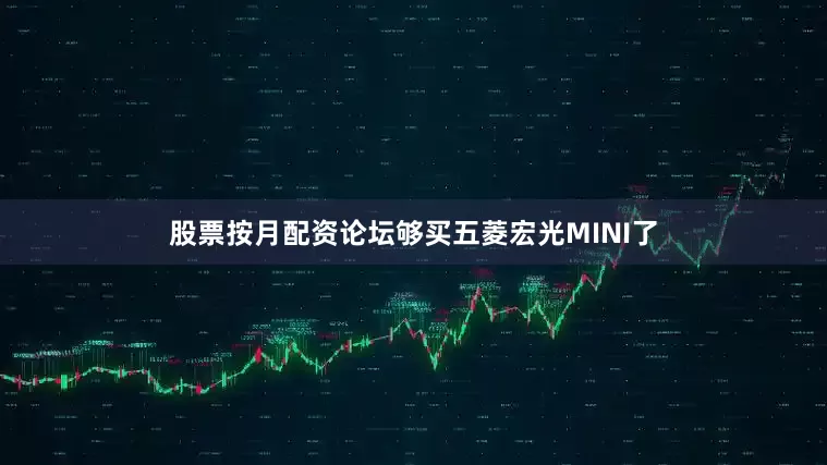 股票按月配资论坛够买五菱宏光MINI了
